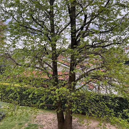 Appartement Kibilu - Via Rodari, Ospedale Circolo